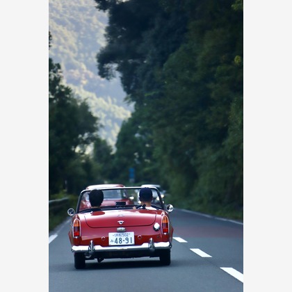 TSD officeが撮影した「:albumName」の写真