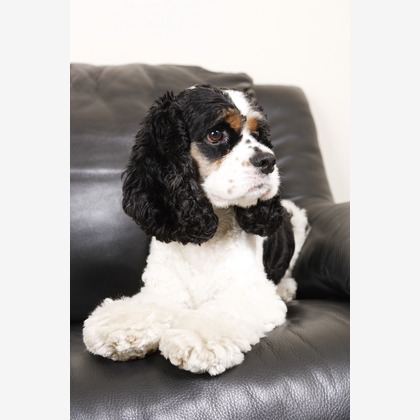 森安　照が撮影した「:albumName」の写真