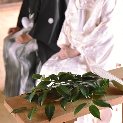 Photo of Pre weddingphotoshoot and wedding ceremony at shrine and Nara Park for foreigners. taken by Kiki photo works
