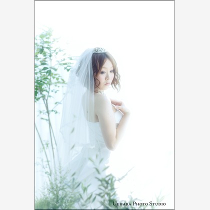 上原フォートスタジオが撮影したウェディングや家族、ビジネスの写真