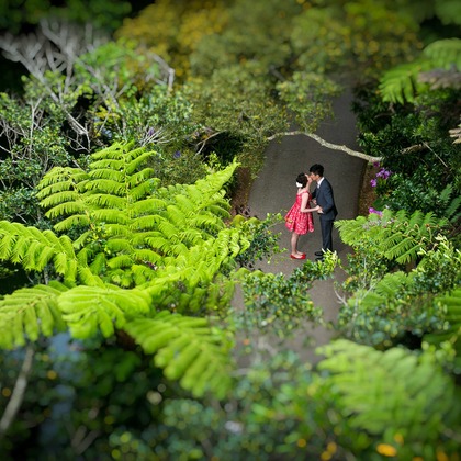 fotoShisa Photography（ピートリオン）が撮影した「ウェディング・結婚」のウェディングフォト - :albumName