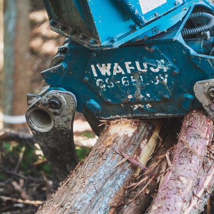 studio9thが撮影した「:albumName」の写真