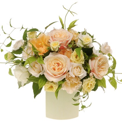 有限会社　澤田スタジオが撮影した「:albumName」の写真