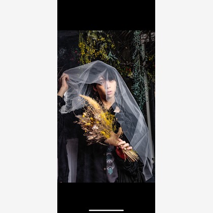 福本　玲弥が撮影した「:albumName」の写真