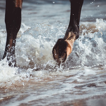 Jacek Cichopekが撮影した「:albumName」の写真