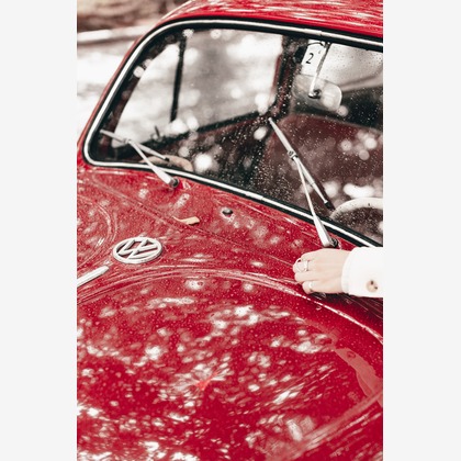 石井俊輔が撮影した「:albumName」の写真