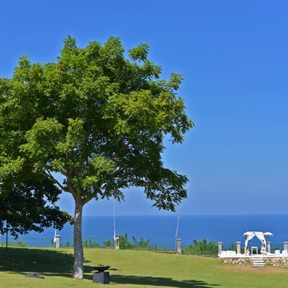 マニス ウェディングが撮影した「:albumName」の写真