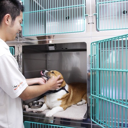 森安　照が撮影した「:albumName」の写真