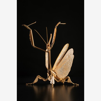 山畑俊樹が撮影した「:albumName」の写真