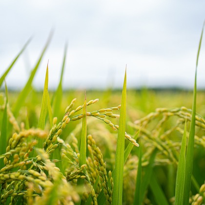 吉田　亘が撮影したその他の写真