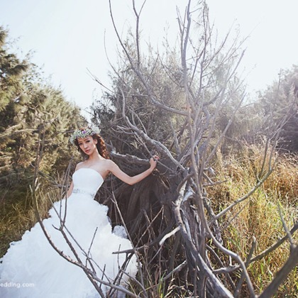 Trust photoが撮影したウェディングや家族、ビジネスの写真