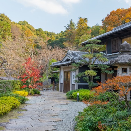 あなたの写真館が撮影した「:albumName」の写真