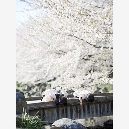 有限会社ワイヤリングが撮影したウェディングや家族、ビジネスの写真