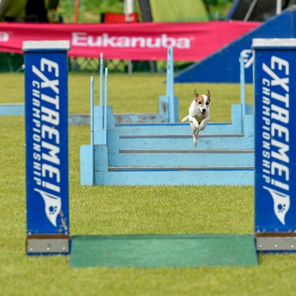 スタジオファンタスが撮影した「:albumName」の写真