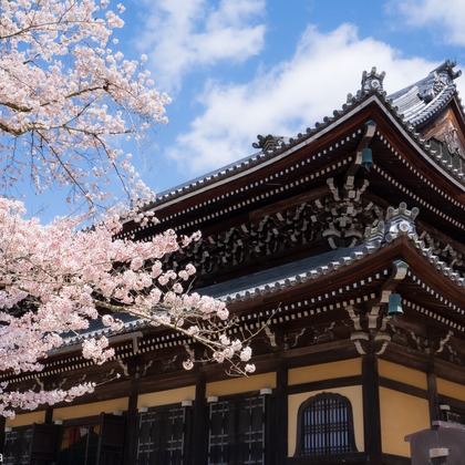 株式会社バックオフィスアクティが撮影した「:albumName」の写真