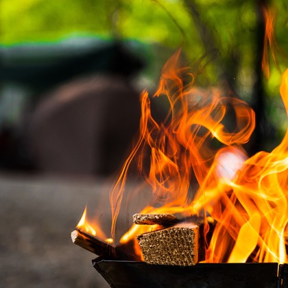 高木勇斗が撮影した「:albumName」の写真