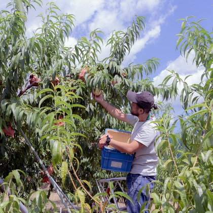 umimoyamamoworksが撮影した「:albumName」の写真