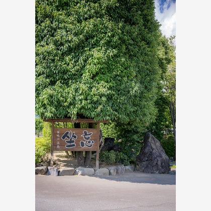 吉田佳央が撮影した「:albumName」の写真