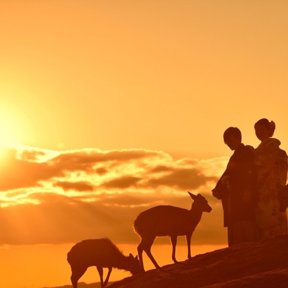 キキフォトワークスが撮影したウェディングや家族、ビジネスの写真