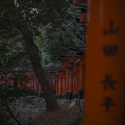 松見　翠が撮影した「:albumName」の写真