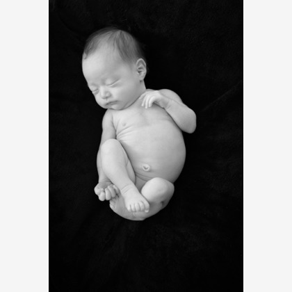 アラタンホヤガが撮影した「:albumName」の写真