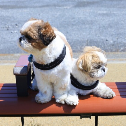 CREAMYが撮影した「:albumName」の写真