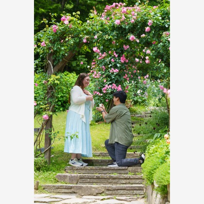 佐藤泰輔写真事務所が撮影した「:albumName」の写真