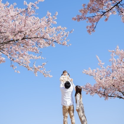 有限会社ワイヤリングが撮影したウェディングや家族、ビジネスの写真