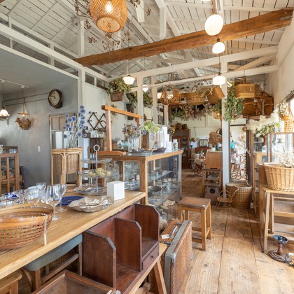 ミヤタカズコが撮影した「:albumName」の写真