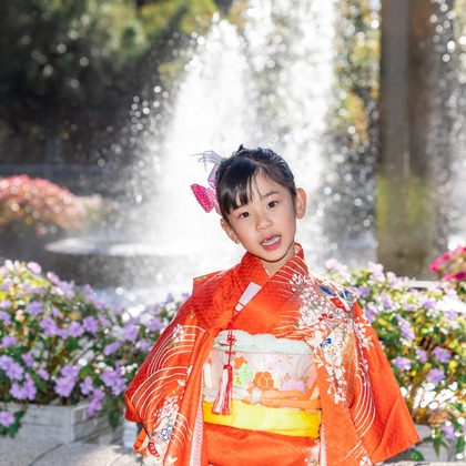 奥田大貴が撮影した「:albumName」の写真