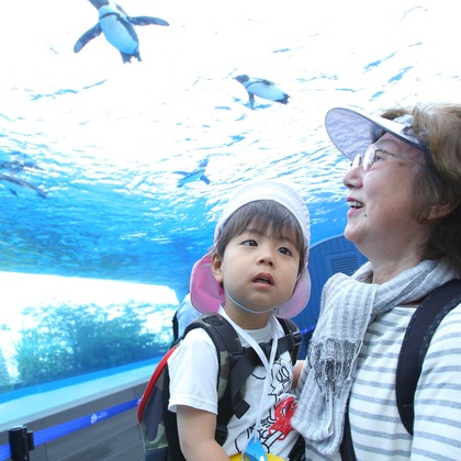 福井麻里が撮影した「:albumName」の写真