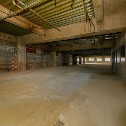 出張撮影TLaboが撮影したウェディングや家族、ビジネスの写真