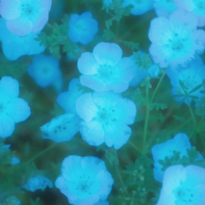 渡邉　麟が撮影した「:albumName」の写真