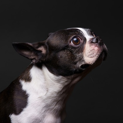 KasaiFilmsが撮影した「:albumName」の写真