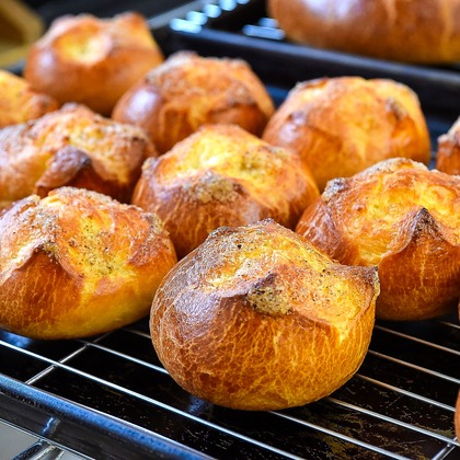 オフィス 芦野が撮影したウェディングや家族、ビジネスの写真