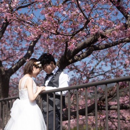 石田誠写真事務所が撮影した「:albumName」の写真