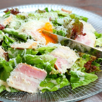 タカラモノ.foto　群馬の出張撮影カメラマンが撮影した「:albumName」の写真