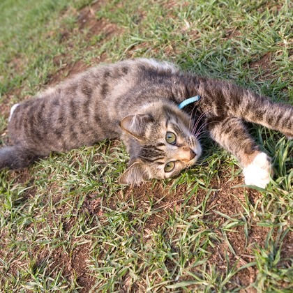 堀勝志古写真事務所が撮影したウェディングや家族、ビジネスの写真