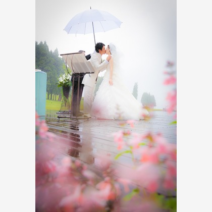 studio HATOYAが撮影した「:albumName」の写真