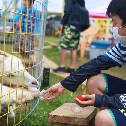 ateliemilyが撮影した「:albumName」の写真