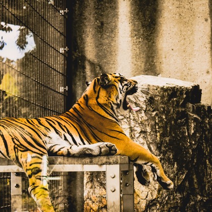 宮腰流弥が撮影したイベント/スナップ撮影の写真