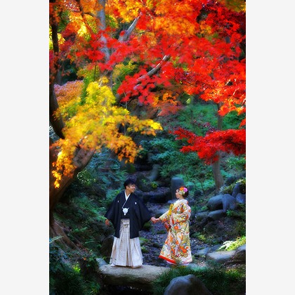 Photo of :albumName taken by STUDIO GIROUX