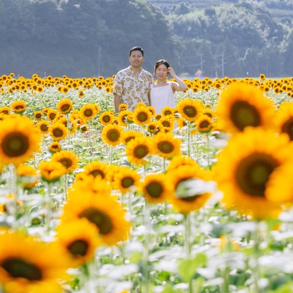 おくやま映像Laboが撮影した「:albumName」の写真