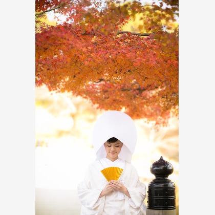 Wedding, Bridal Photos taken by studio zero