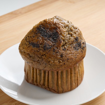 クリエイティブツリーが撮影した「:albumName」の写真