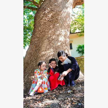 心綴フィルムが撮影した「:albumName」の写真