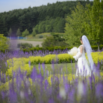 Photo of :albumName taken by C.RELATIONS