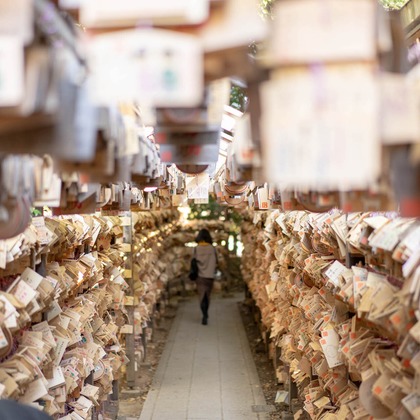 スタジオαが撮影したイベント/スナップ撮影/商品/物撮り/人物撮影の写真