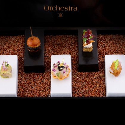 森安　照が撮影した「:albumName」の写真