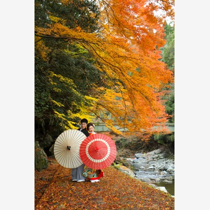 Photo of :albumName taken by Smilehunter